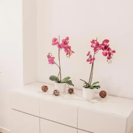 San Polo Design By Wonderful Italy * Velence